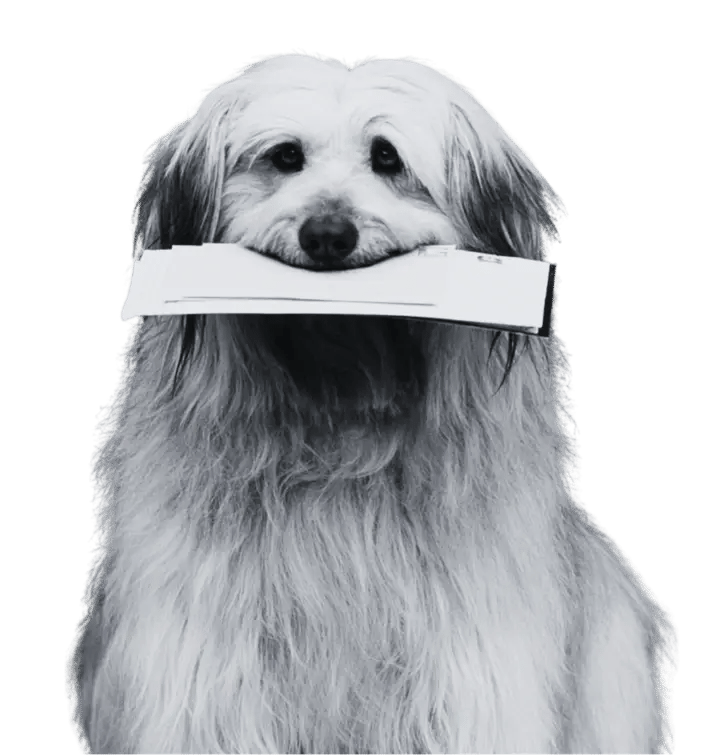 media-nmq-58_iovIU-1