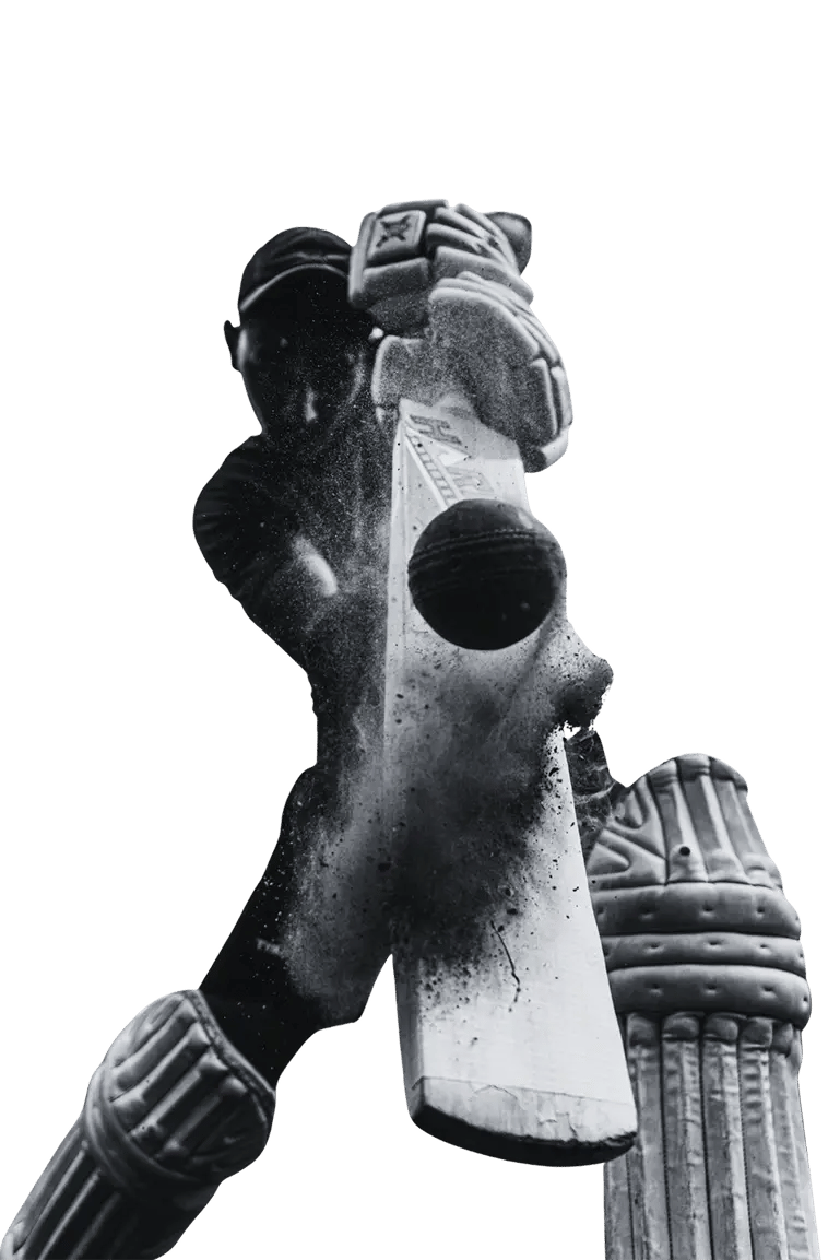 solution-img-4_1JVSMv-2